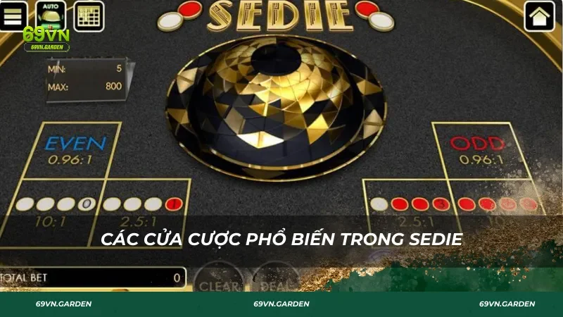 Các cửa cược phổ biến trong Sedie